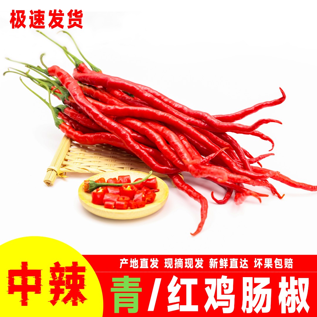 鸡肠子青红辣椒新鲜采摘产地直发包邮薄皮软辣椒皱皮辣椒