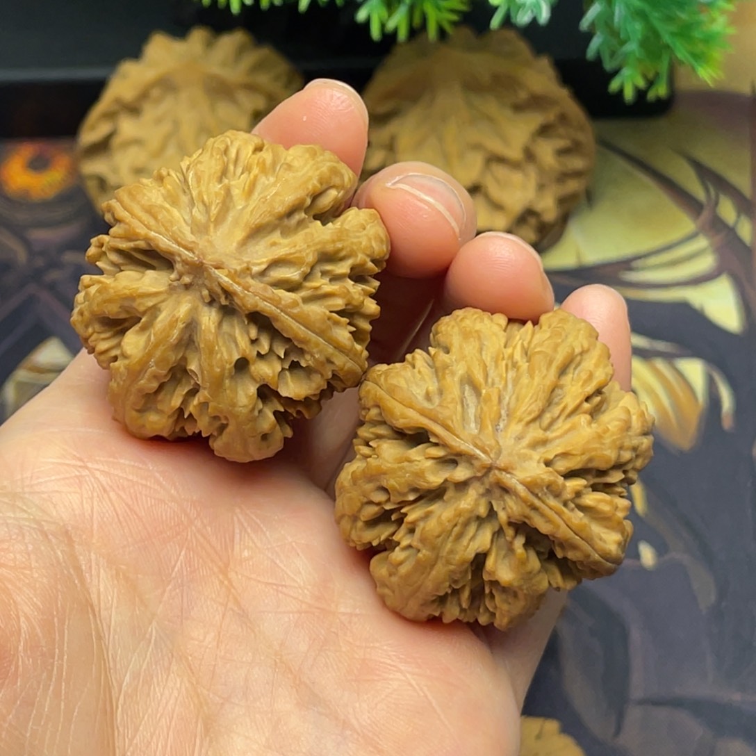 把件文玩核桃秦岭野生核桃7号