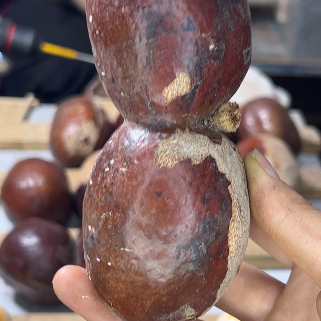 千眼菩提吊坠?****?双胞胎