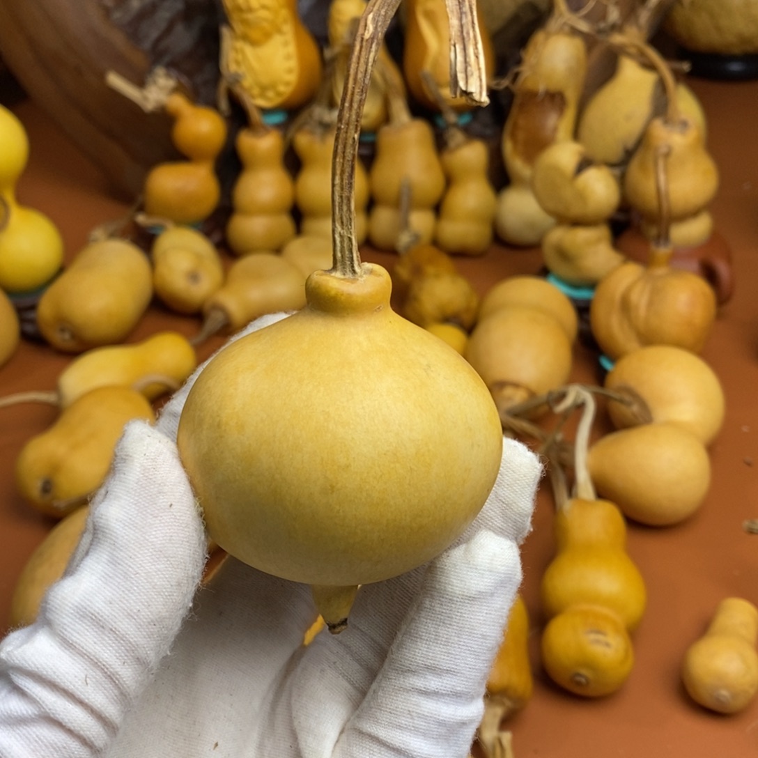 二***哥教练咯局长局长教练咯