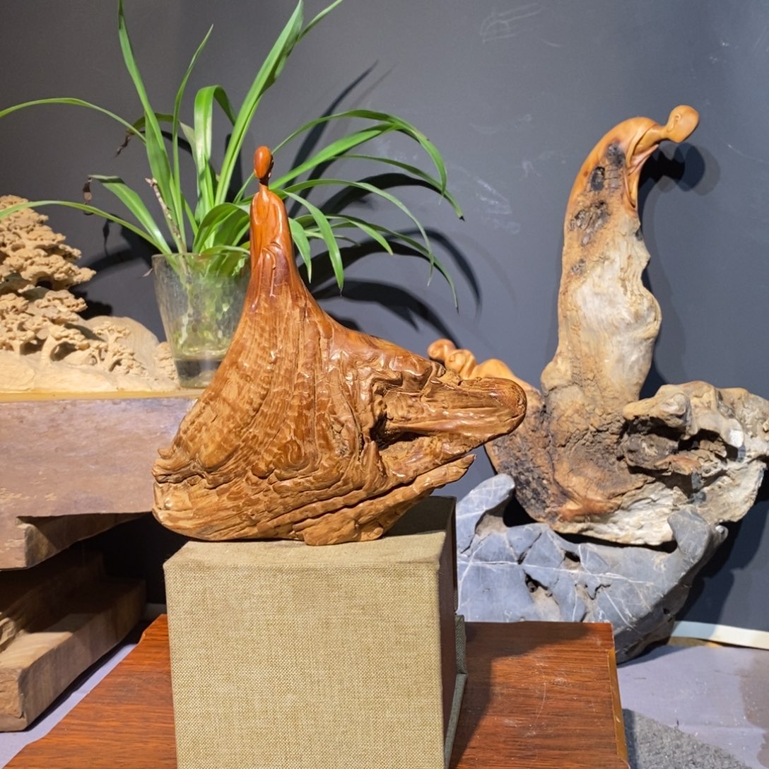 柏木太行13805899666