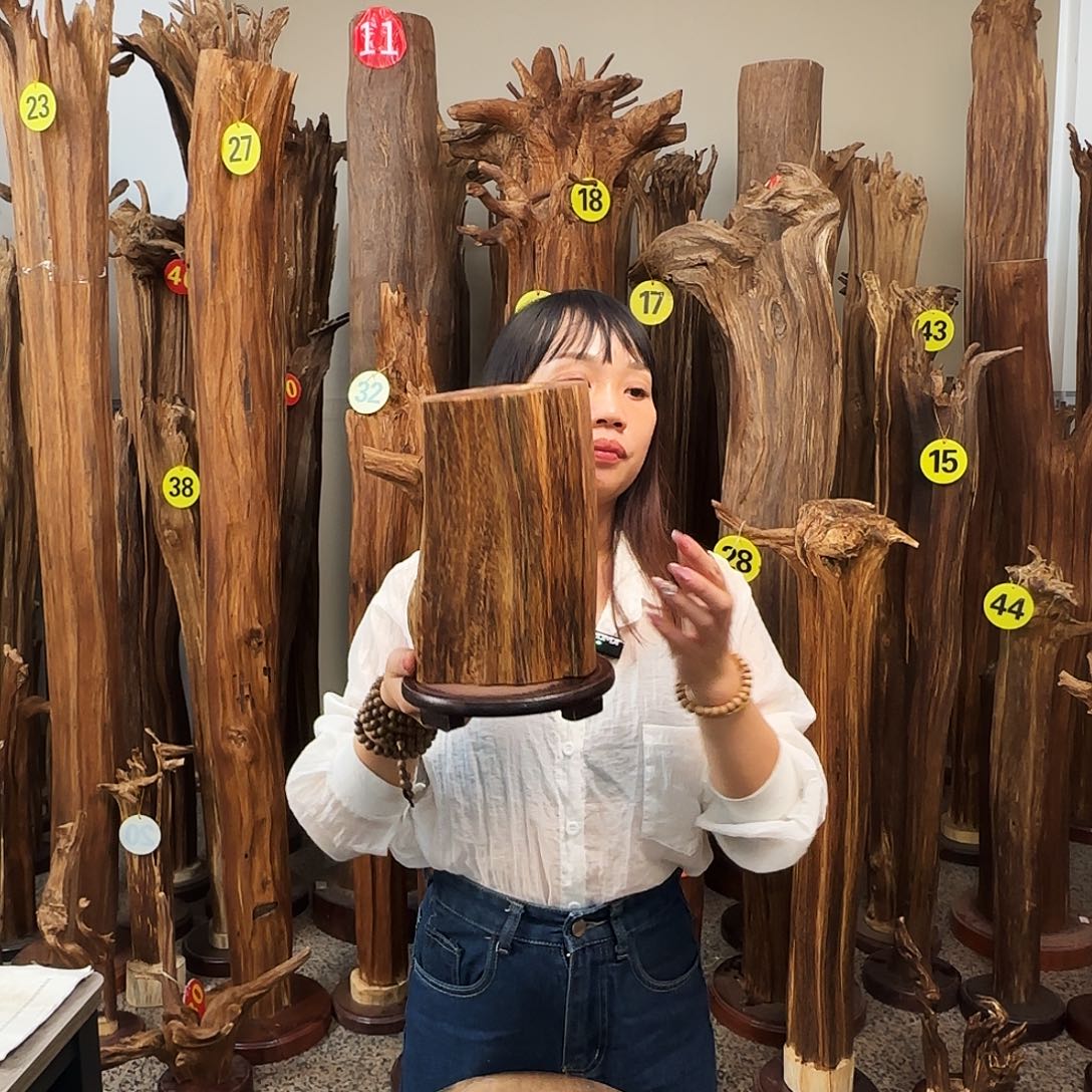 沉香沉香碎屑天然沉香原材料香料熏料