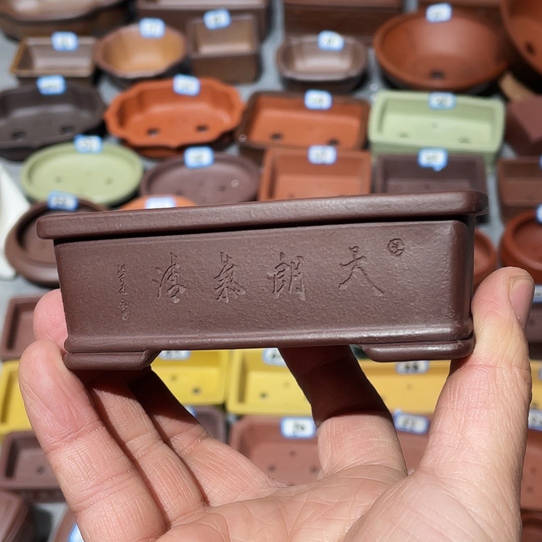 紫砂紫砂小盆8.5*5*2.5