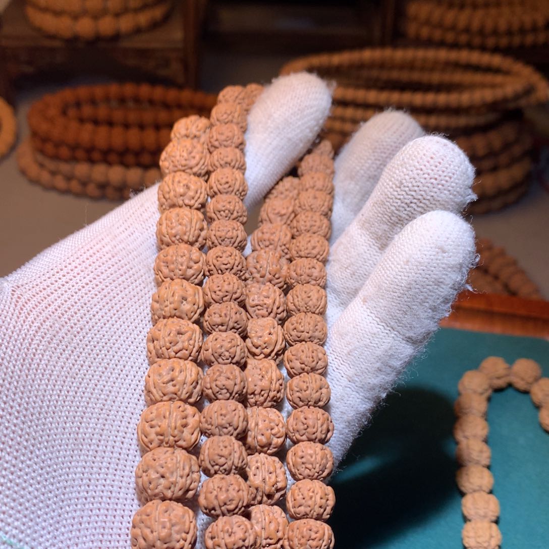 金刚菩提手串在****菜老树王2条