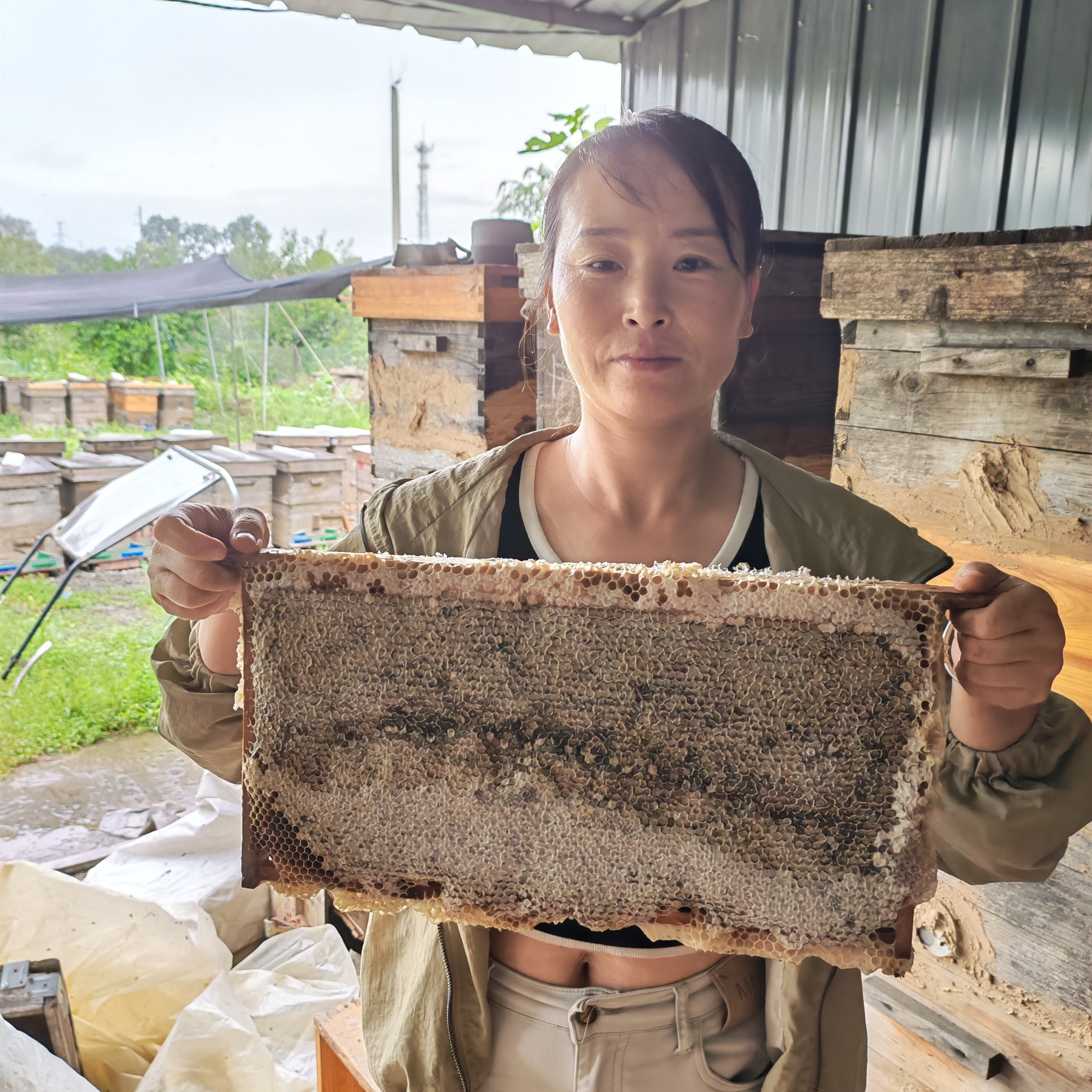 支持检测农家自产天然荆条蜜原生态蜂蜜买一斤送一斤