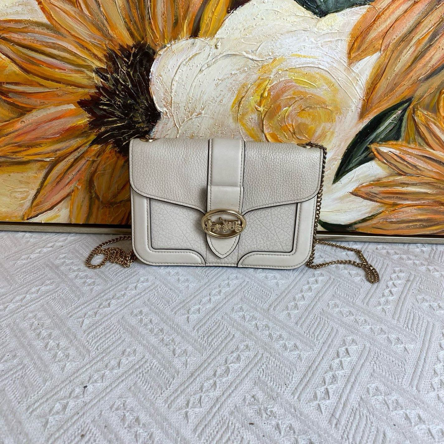 95新 COACH/蔻驰 19151斜挎包