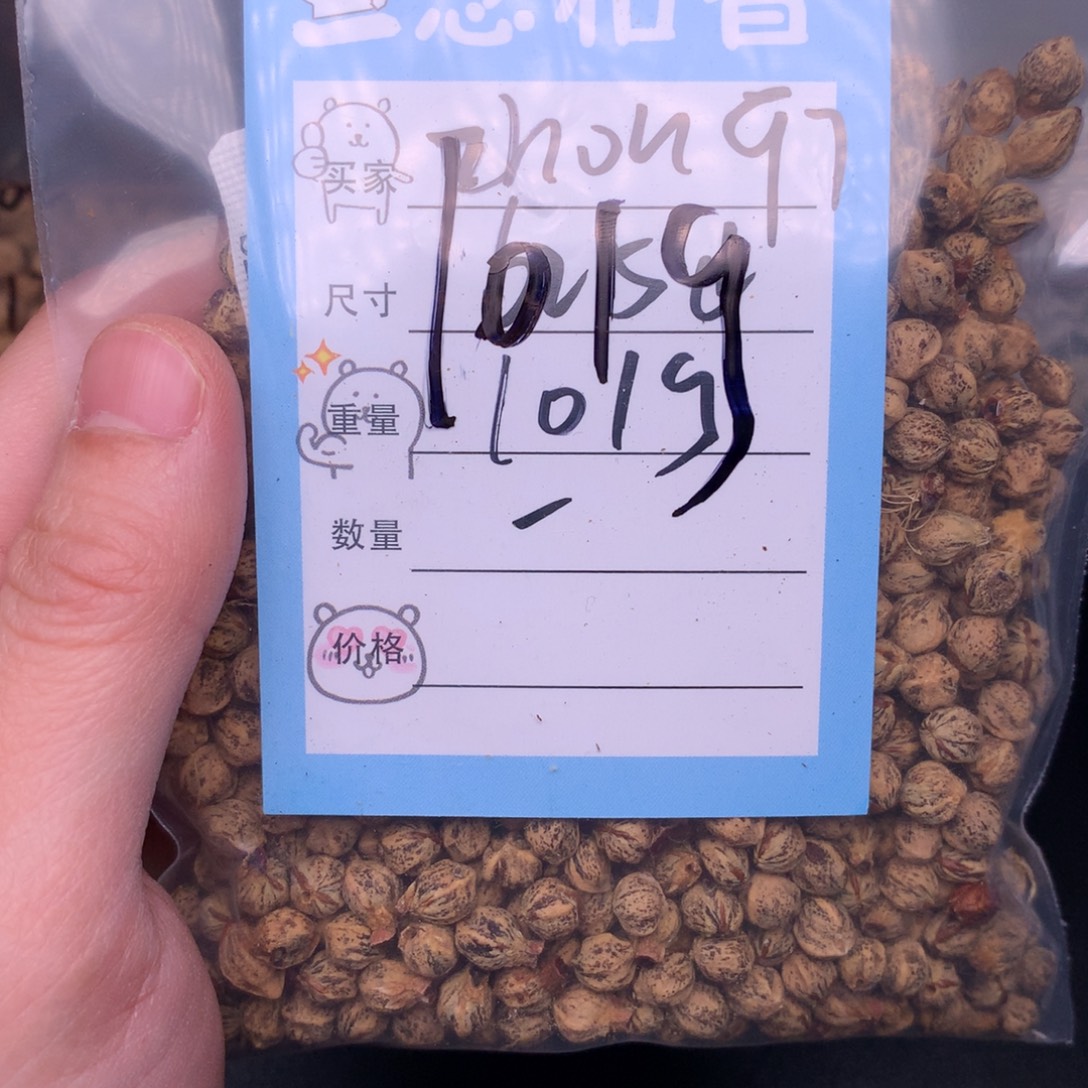 z***7吊坠柏香籽/百香籽