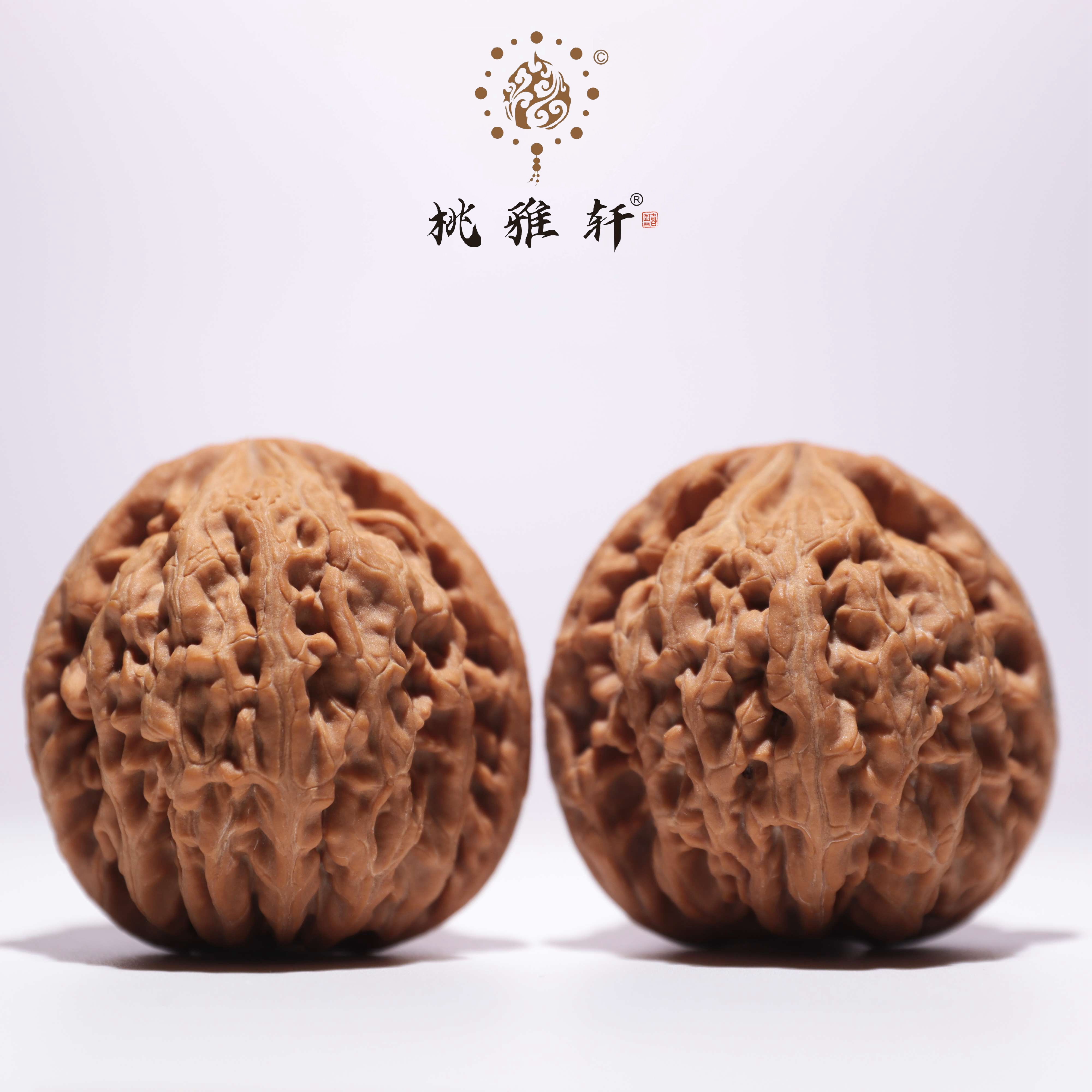 红锦鲤 · 44-45-44 一物一图