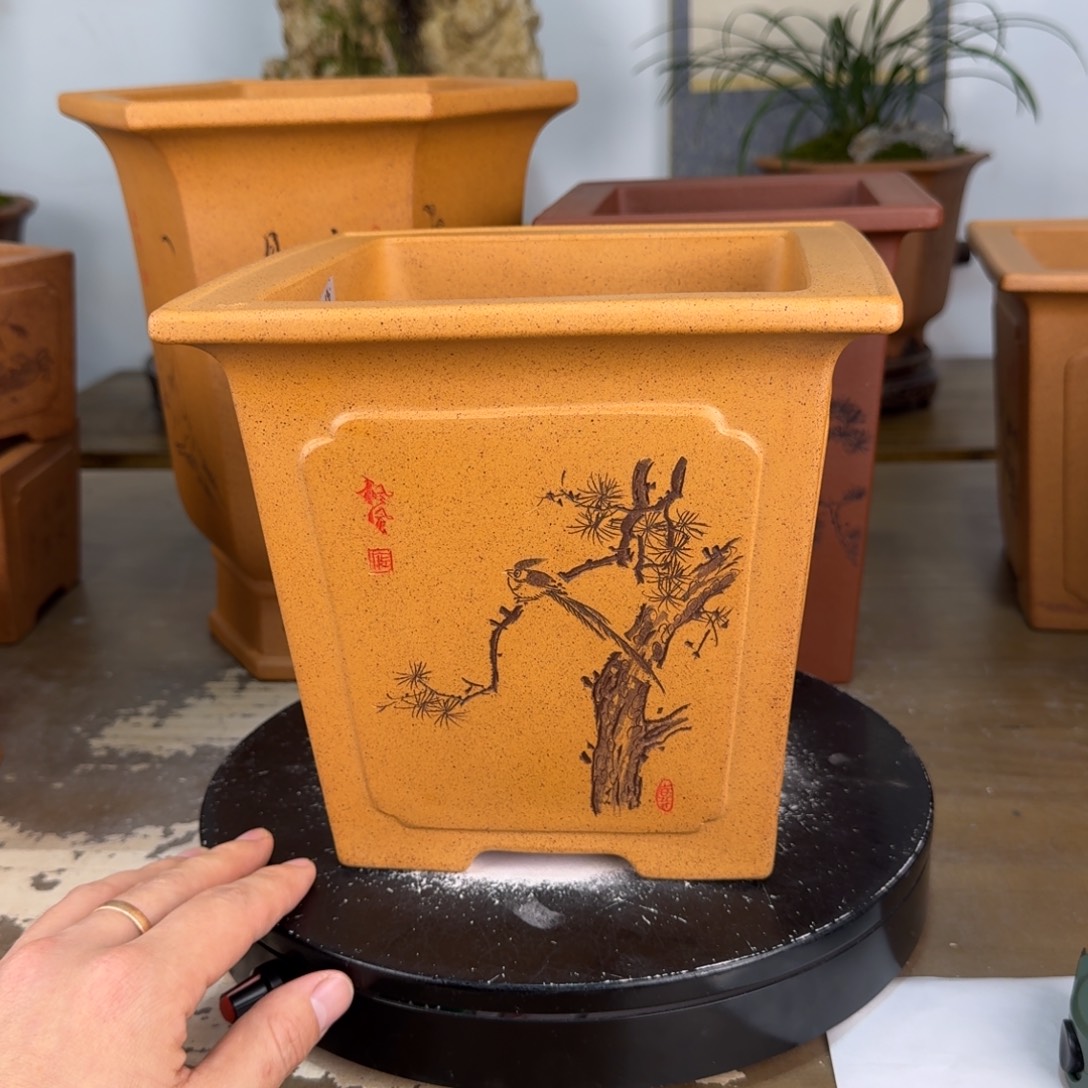 花盆紫砂紫砂花盆15.5-17