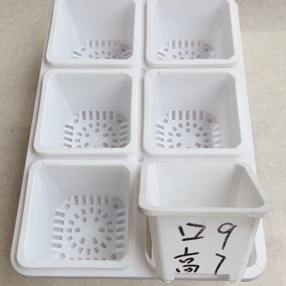 塑料福利款9方白色盆12个带2拖架