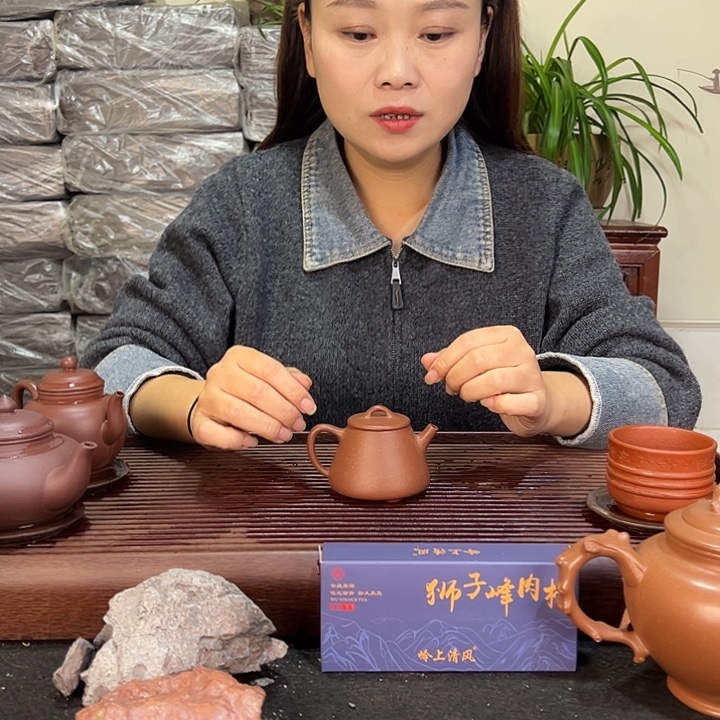 紫砂茶壶宜兴紫砂