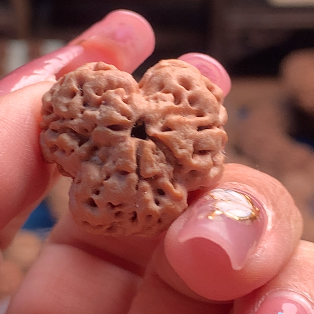 手串金刚菩提三瓣单颗