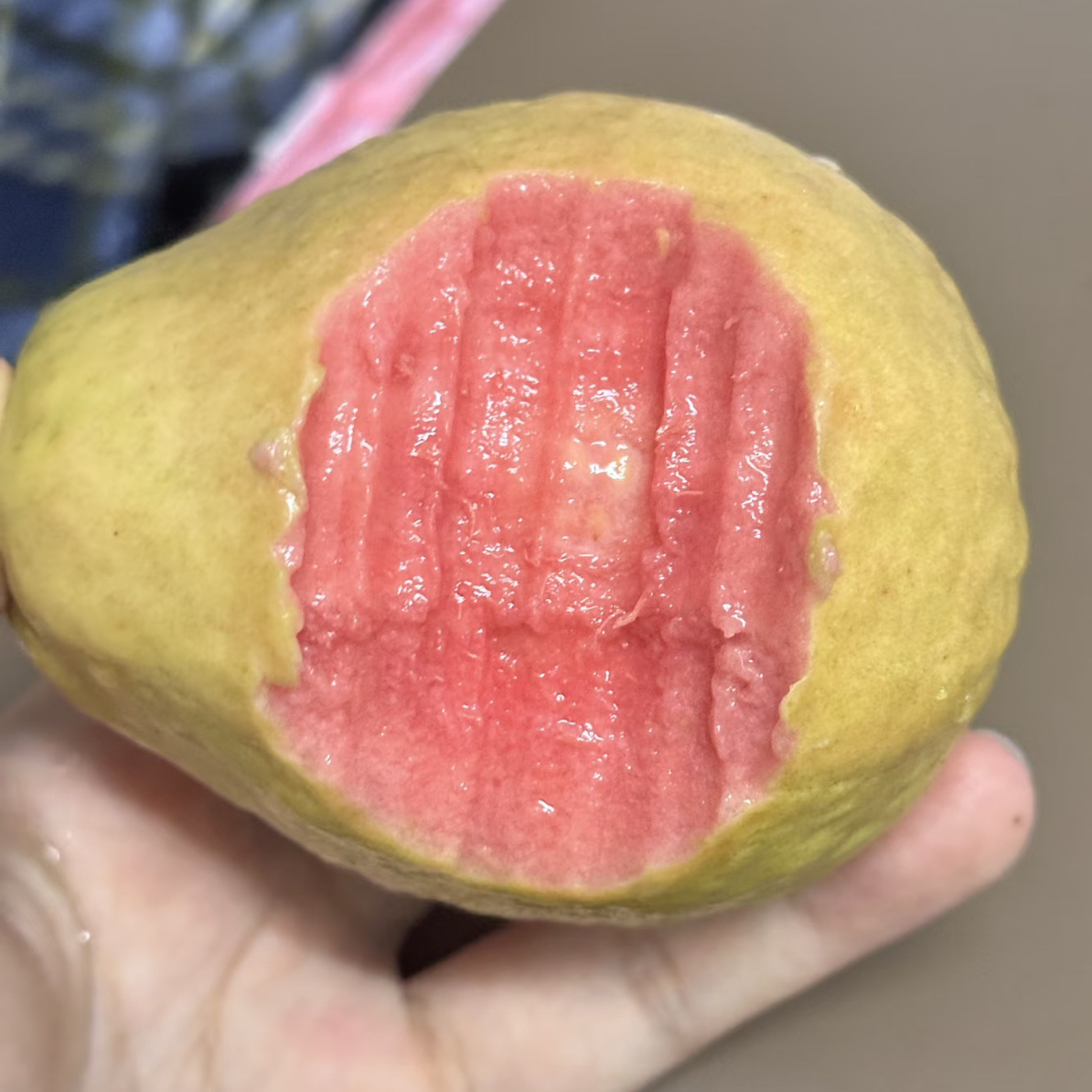 现摘新鲜草莓芭乐软糯香甜当季水果树上熟低脂孕妇水果混装