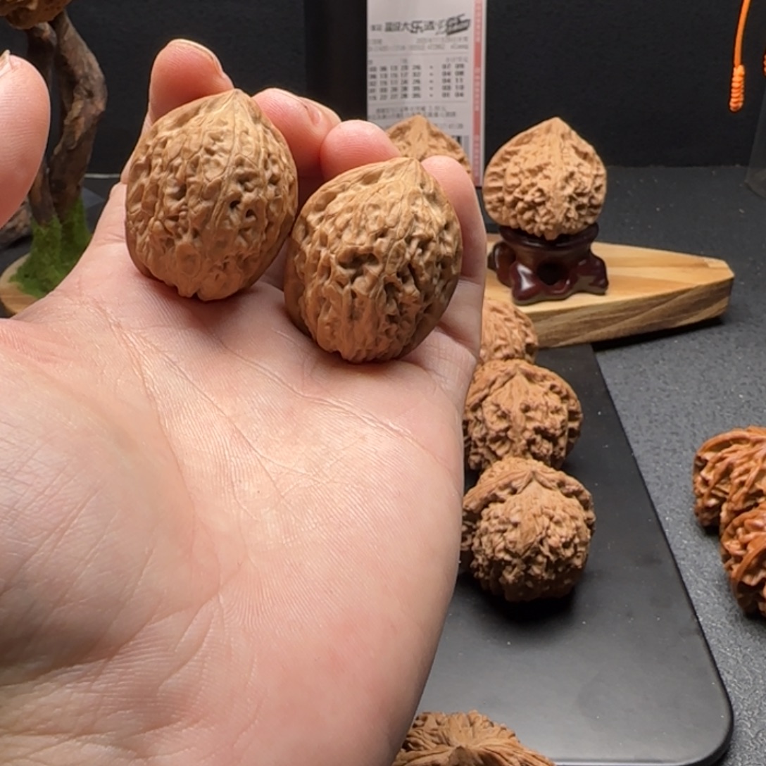 核桃野生子弹皮质没说