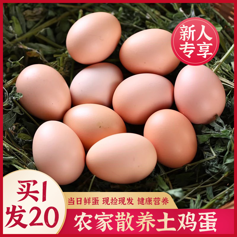【拍10送10】到手20枚农家土鸡蛋均重约45g全粮谷物现捡现发正宗