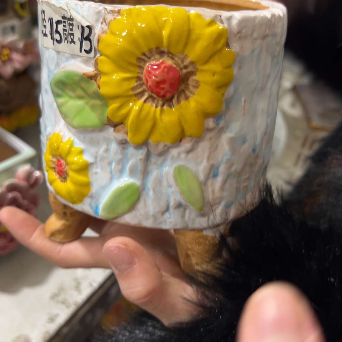 多肉花盆满20发秒拍秒退拉黑