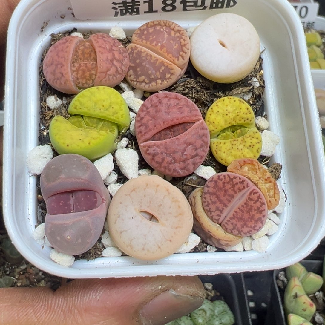 【闪购商品】 671。