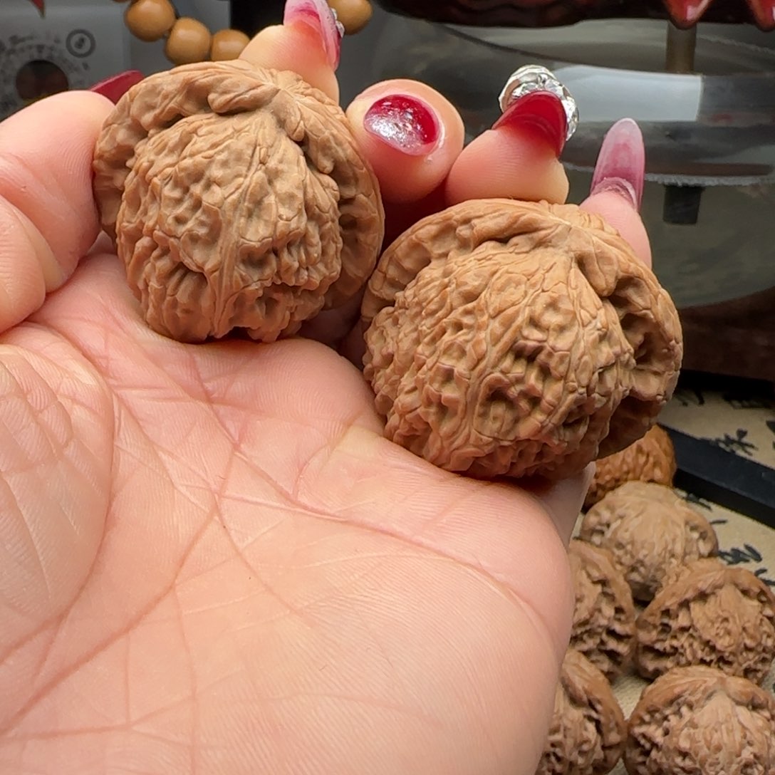 核桃核桃白狮子狮子头