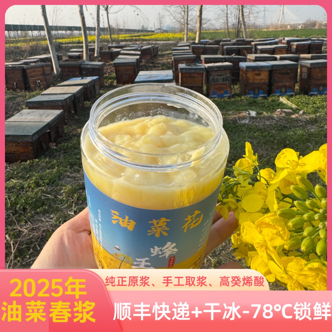 【尝鲜装500g*1瓶】2025年油菜蜂王浆 纯正春浆  手工采集 高癸烯酸