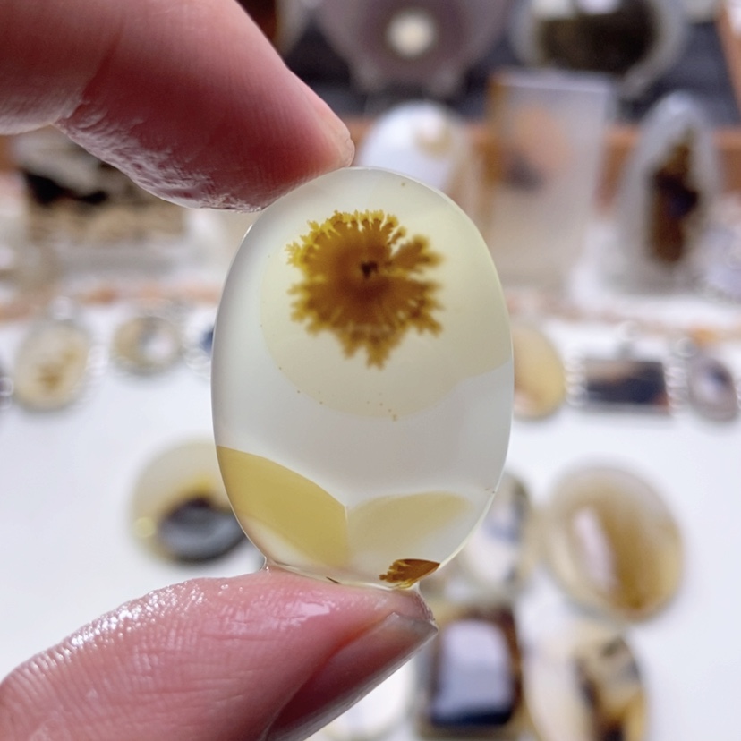 【闪购商品】玛瑙/玉髓颈饰未镶嵌