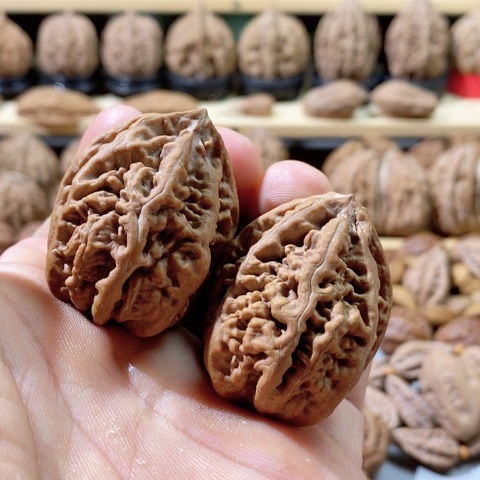 文玩核桃把件老珊瑚