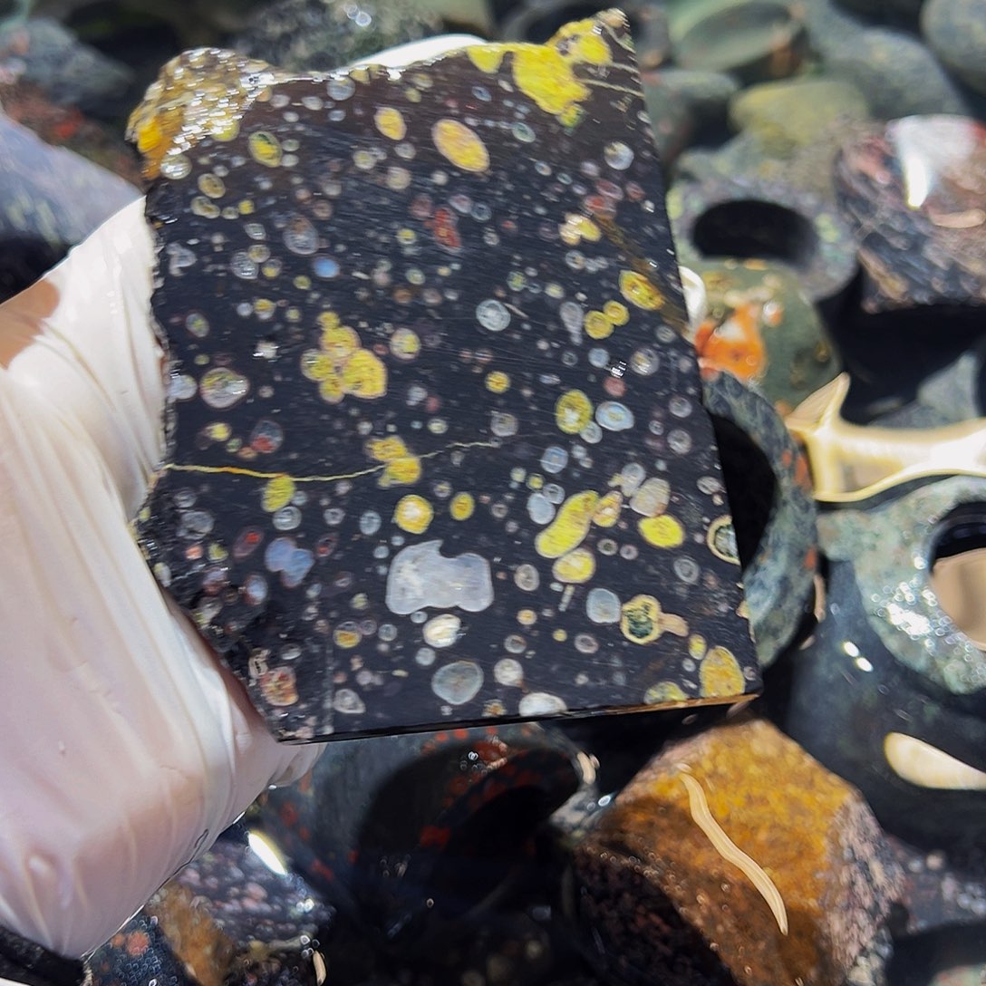 梅花玉鱼缸石茶周边微瑕不退不换