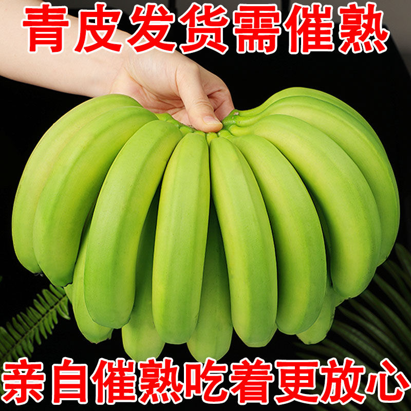 云南高山青皮生态香蕉当季新鲜自然成熟薄皮软糯水果不泡药包邮