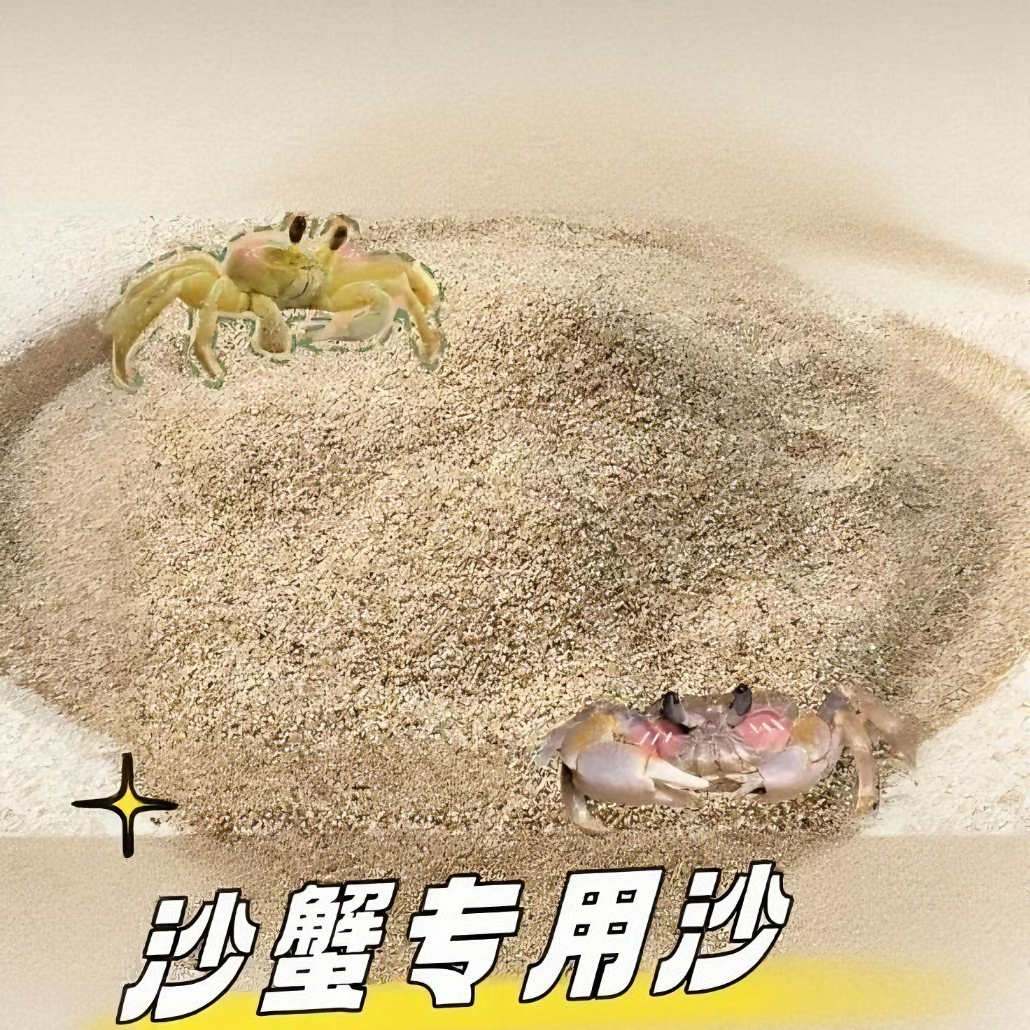 沙蟹寄居蟹专用天然免洗海沙
