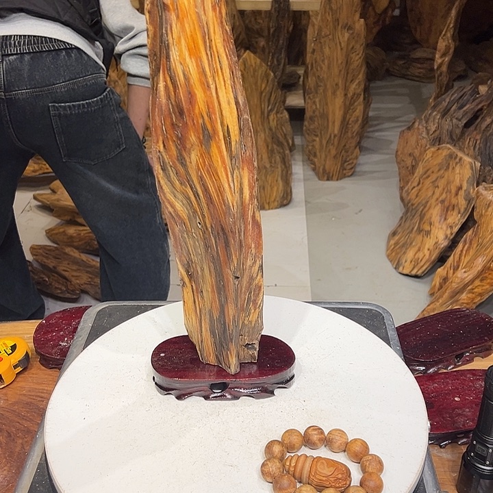 松木（琥珀木）抖*晕