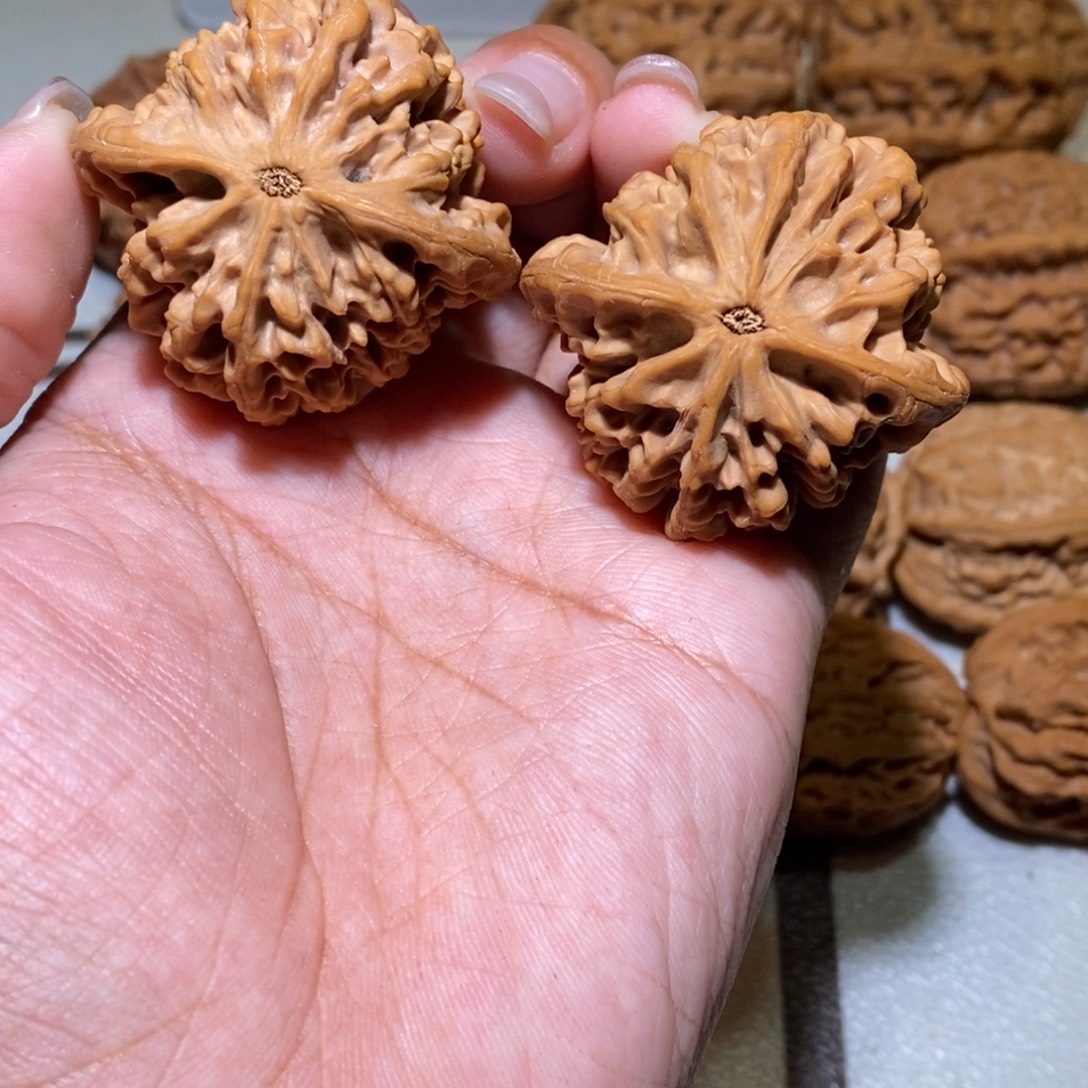 小****核桃手串/手链亲们