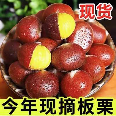 【5斤果王】山东老树2025年新板栗颗粒饱满 香甜糯口好剥皮现货AR