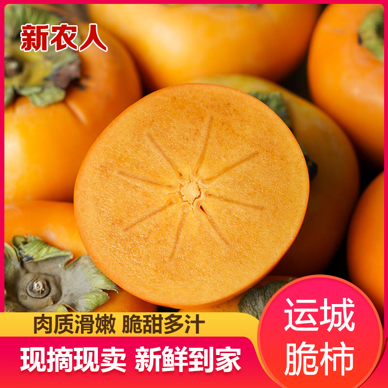 山西阳丰巧克力甜脆柿现摘新鲜孕妇水果甜柿子