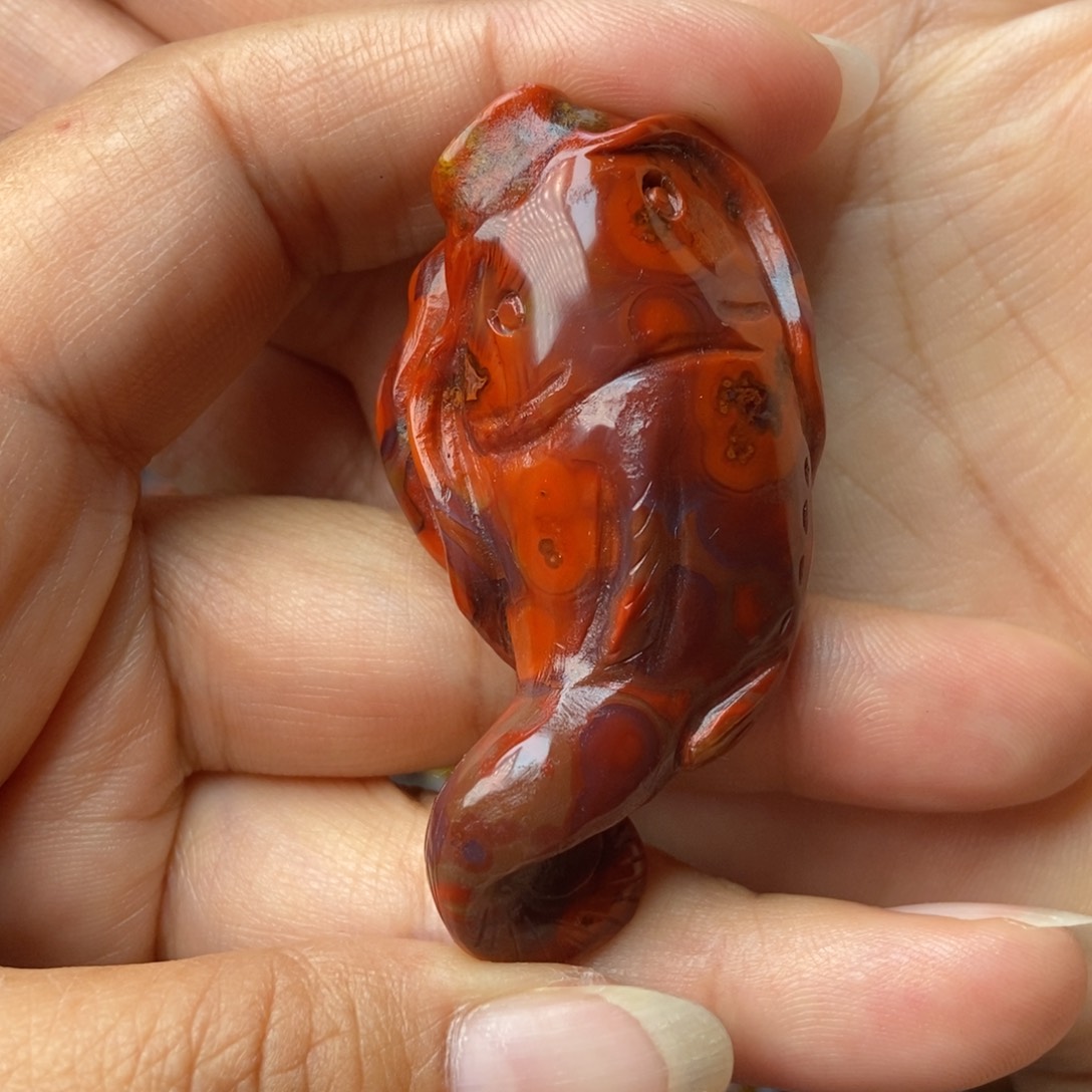 玛瑙/玉髓颈饰未镶嵌战国红