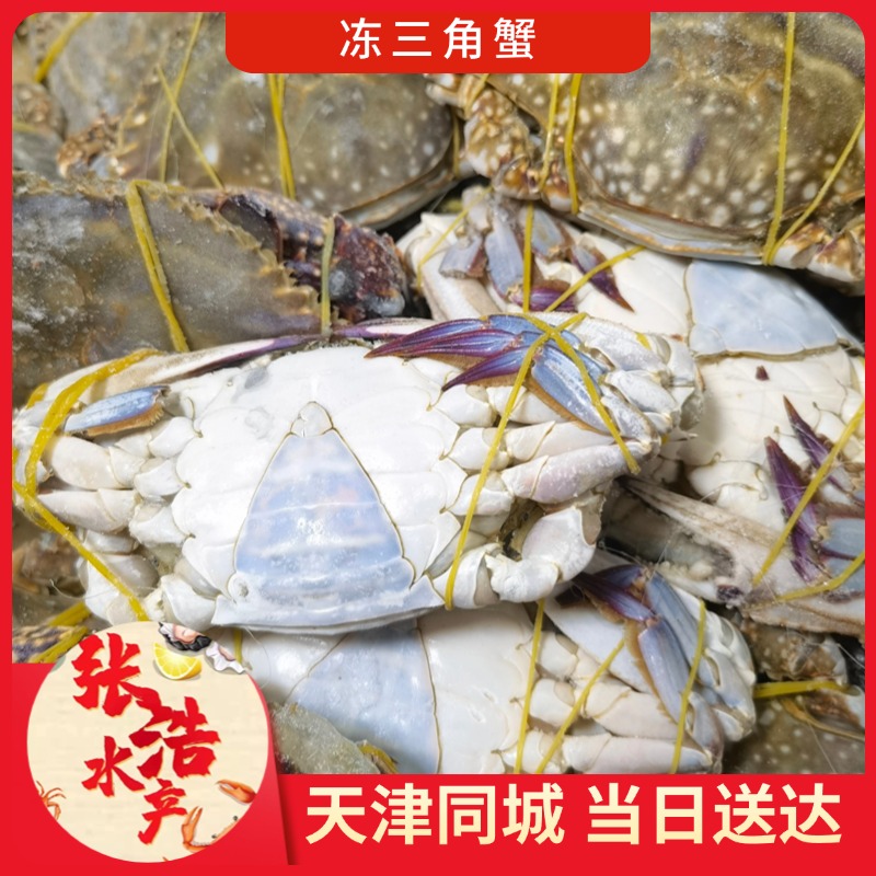 【冻蟹】冷冻三角蟹 每只2-4两 天津张浩水产 2-8斤