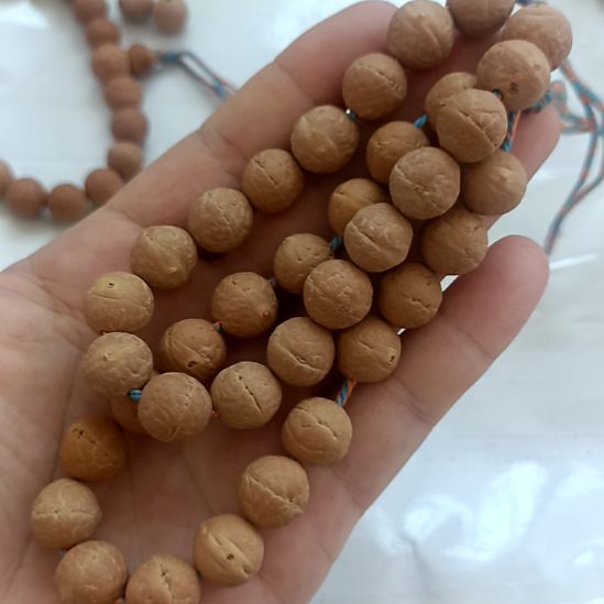 凤眼菩提吊坠2025尼泊尔凤眼菩提实心籽12.0mm手串
