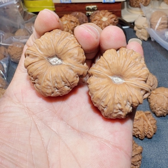 文玩核桃把件咩*南瓜墩