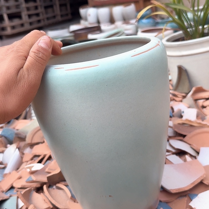 微瑕花盆啦啦来啦