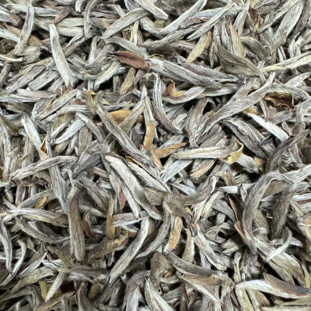 【江缘】福鼎白茶·2009年·白毫银针·参香·可可香·老树