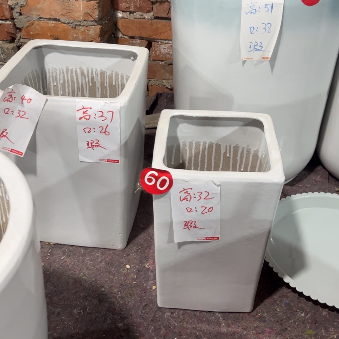 方口一中一小两个花盆