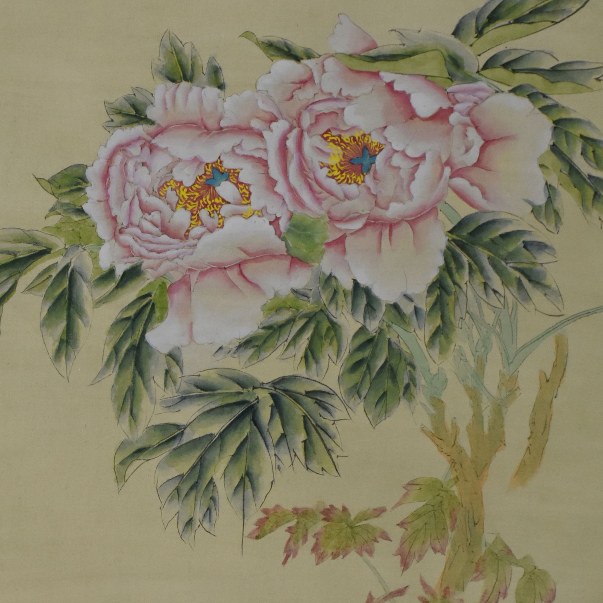HM7143 花卉  42×42cm 纸本立轴 1.6平尺