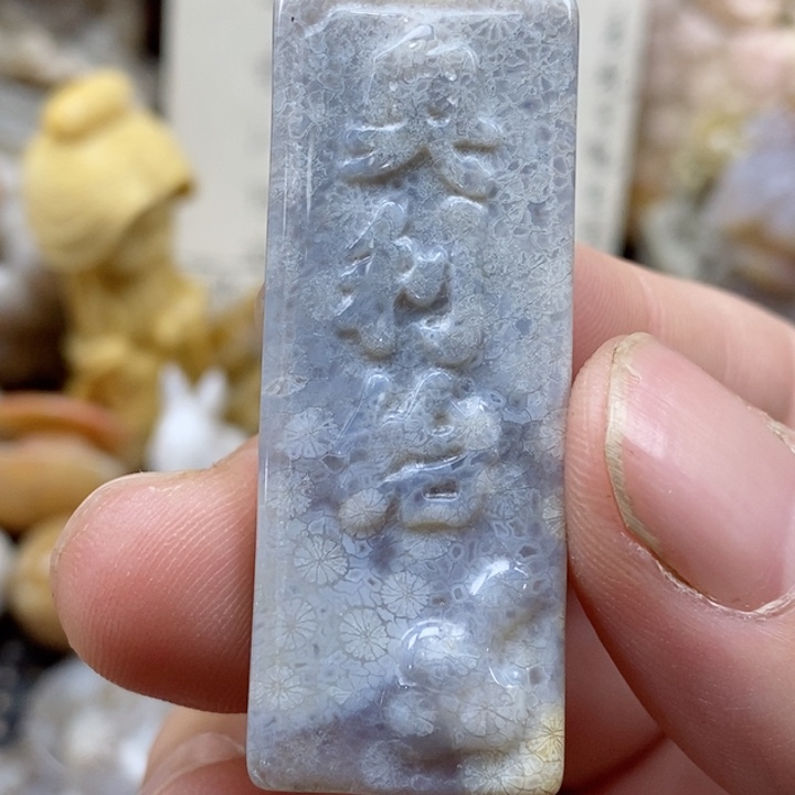 颈饰未镶嵌硅化珊瑚（珊瑚玉）