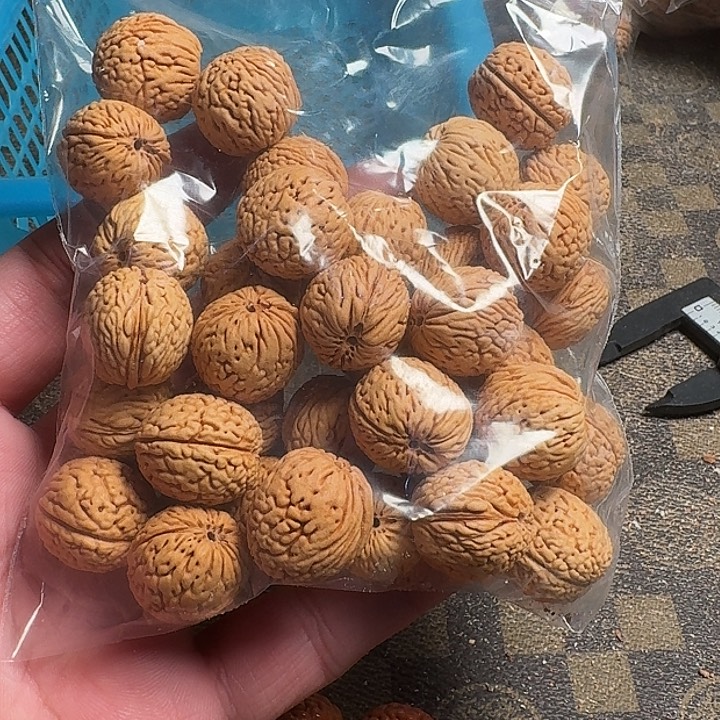 焱***堃桃核吊坠66666666666