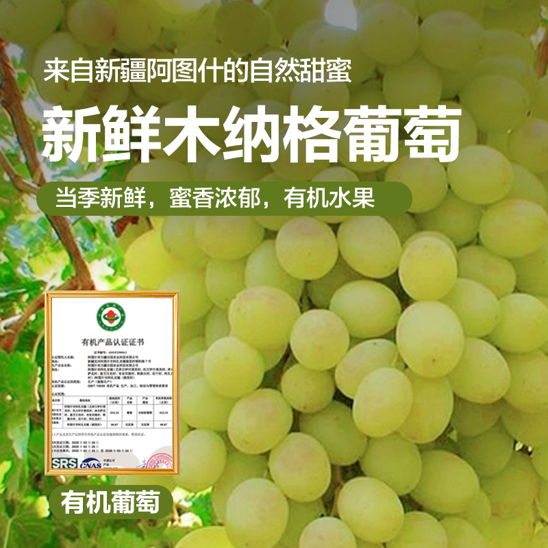 【顺丰冷链次日达】正宗新疆阿图什木纳格葡萄冰川翡翠葡萄 甜地球新疆维吾尔自治区