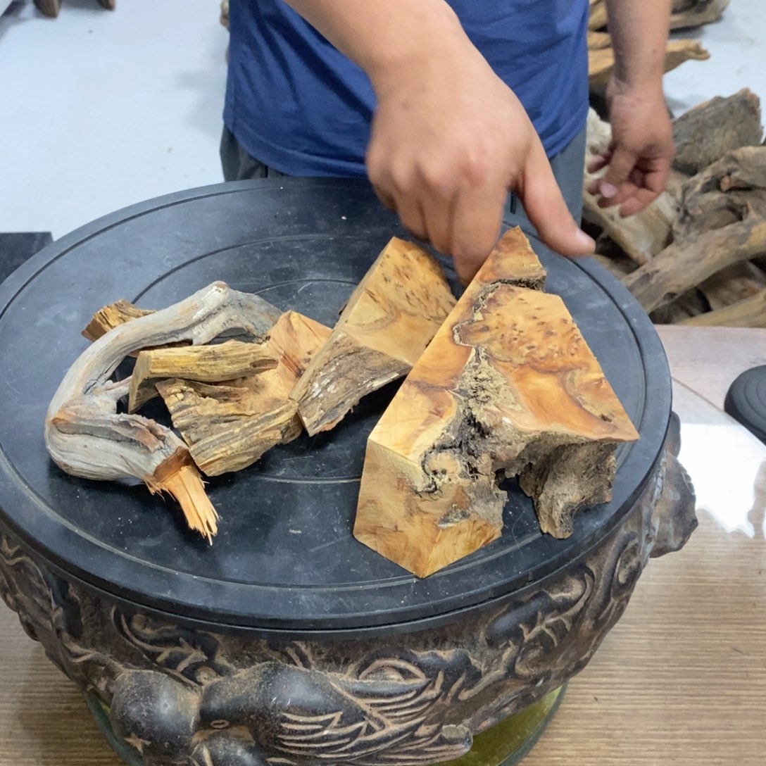 草***果柏木（崖柏）我们都是好孩子