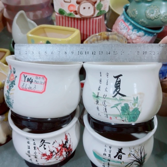 红陶11111111111111111