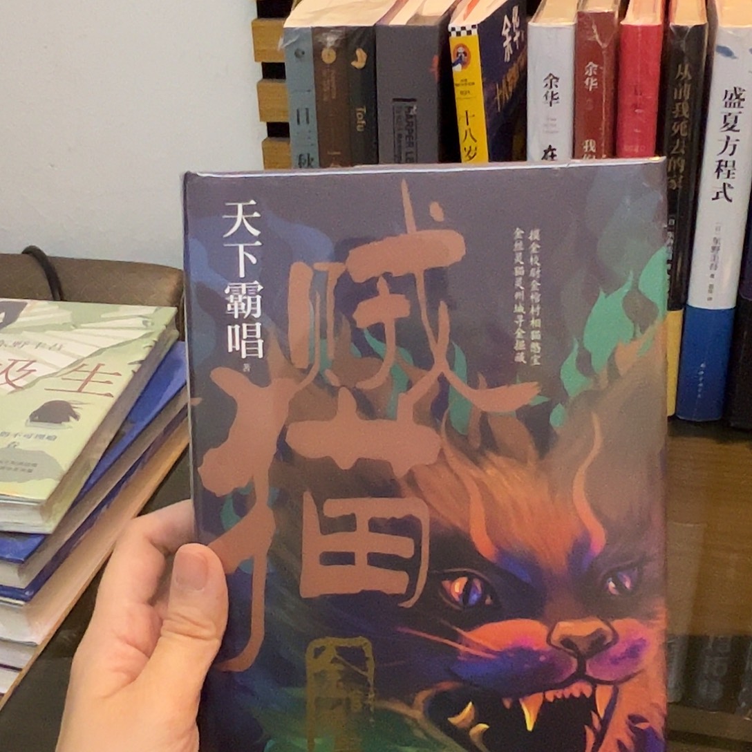 贼猫    天下霸唱  