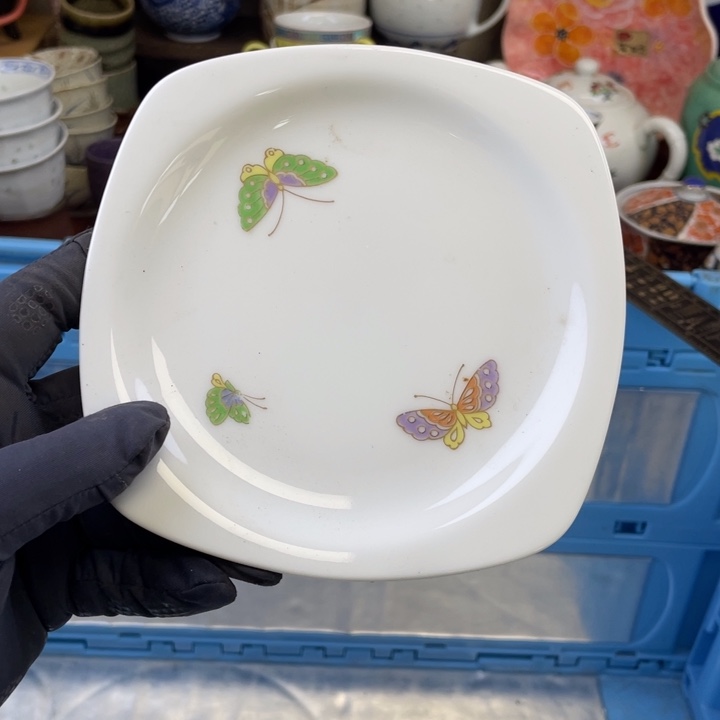 碟开播了开播了开播了