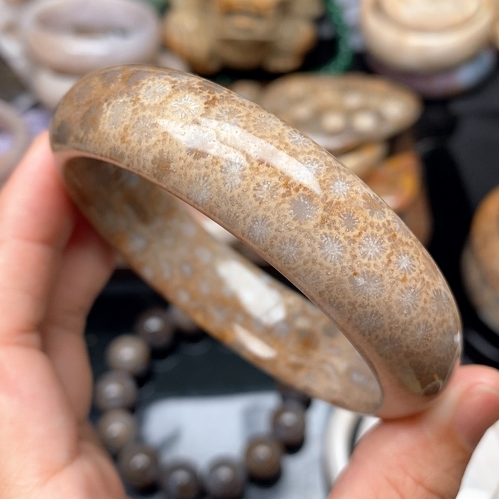 硅化珊瑚（珊瑚玉）手镯未镶嵌61