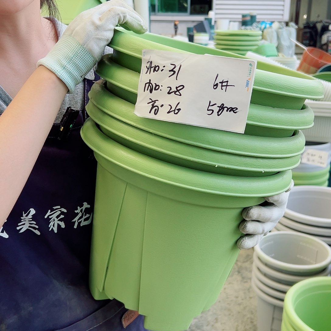 青山盆6#果绿5个无托