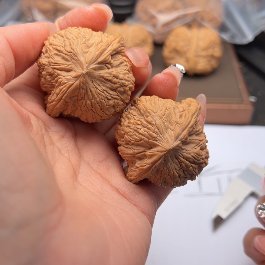 文玩核桃把件泥鳅44